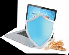 <strong>依托大数据、区块链等手艺实现跨地区、</strong> 